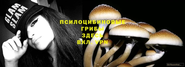 марки lsd Аркадак